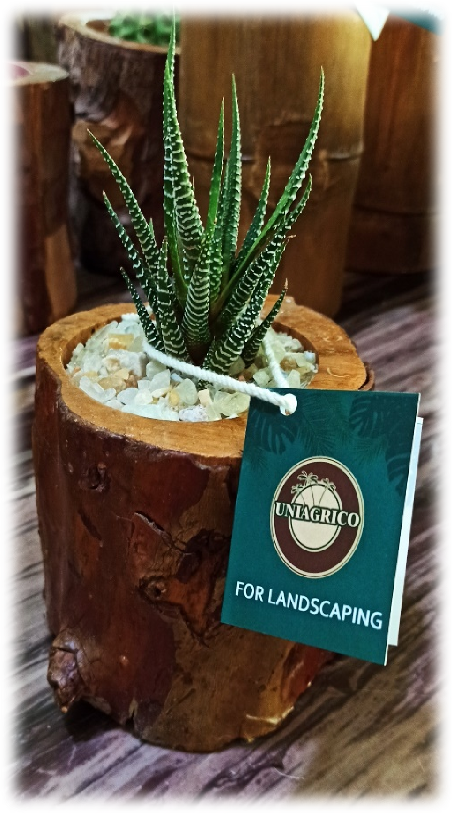 Natural plants decoration detail
